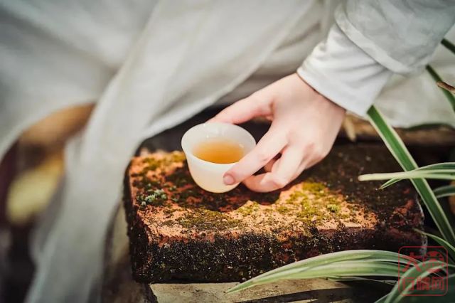 看十年大益茶市 你能从中品出怎样的味道?