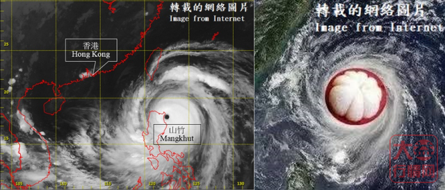 【香港浮雲藏茶专栏】2018 大益 【四大天王】千羽孔雀（珍藏七星）<1801>