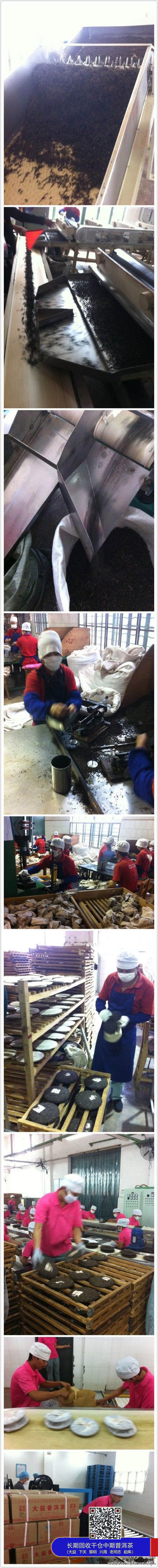 大益勐海茶厂72周年华诞掠影