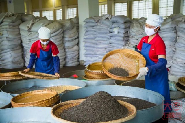 大益行情网：2019年普洱茶毛茶价格何时能够落地？