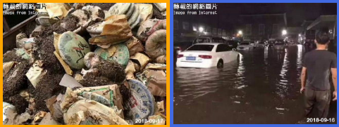 【香港浮雲藏茶专栏】2018 大益 【四大天王】千羽孔雀（珍藏七星）<1801>