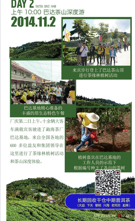 广州茶博会大益茶生活空间精彩回顾