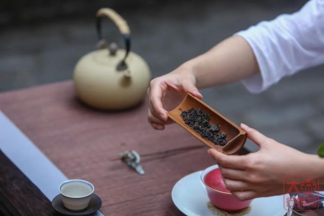 干货！雨季将至，不同地区如何做好普洱茶存储？