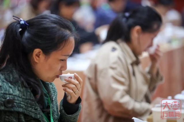 大益职业茶道师大赛激战正酣，30位顶尖高手决战大师赛！