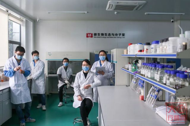 敢为人先!大益十年科技创新发展之路