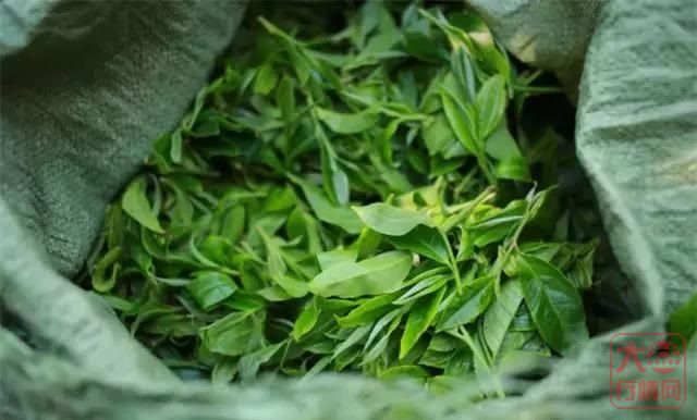 存茶,一不小心就会变成事故