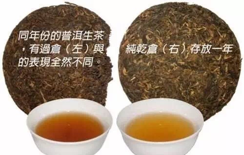 怎样分辨普洱茶的干仓和湿仓！？