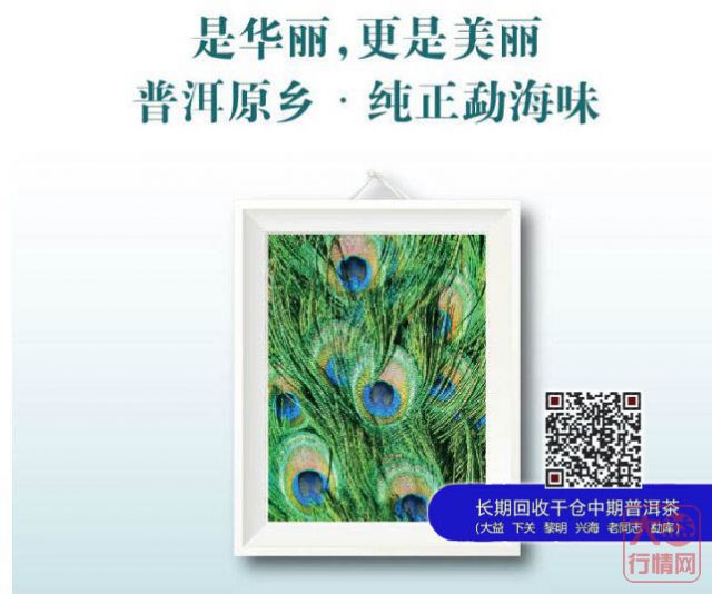 大益新孔雀系列横空出世
