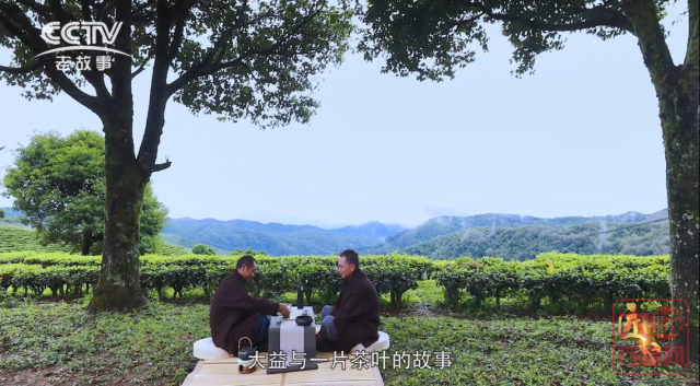 大益行情网:茶市过往——大益生态圈是如何形成的(下)