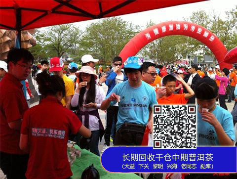 大益茶成2013大连国际徒步大会合作伙伴和独家茶品供应商