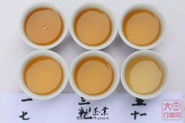 2019年大益系列-2019年 7542 1901 生茶