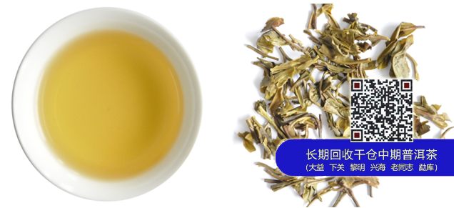 大益2014年生肖纪念茶英雄骏马·经典版上市