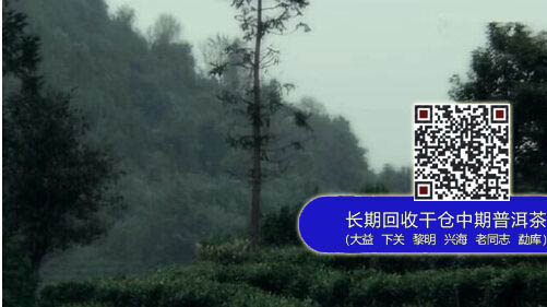 纪录片《心·传》 ： 一饼大益普洱茶的生命故事