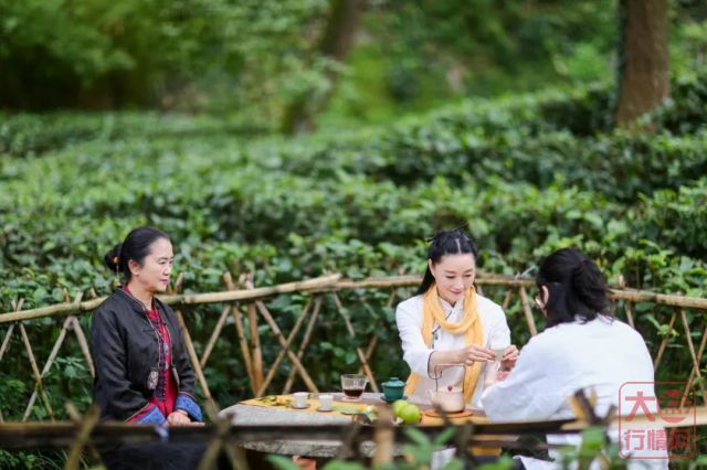 喝茶可繁可简,高品生活最搭的6款极简普洱茶冲泡法随心选