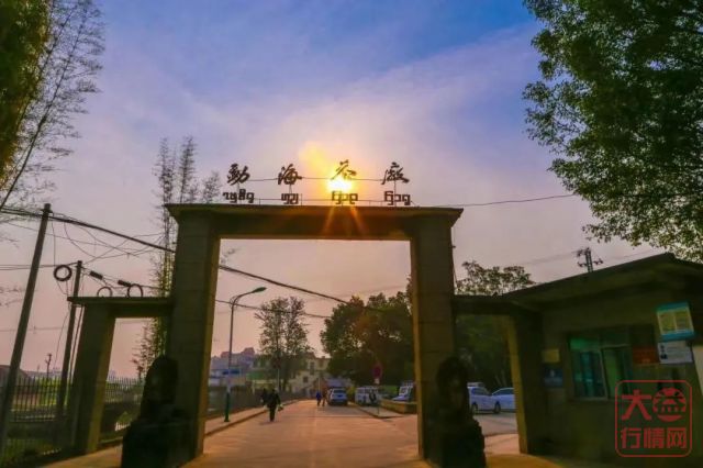 新华财经聚焦：大益勐海茶厂连续5年获“绿色食品10强企业”称号