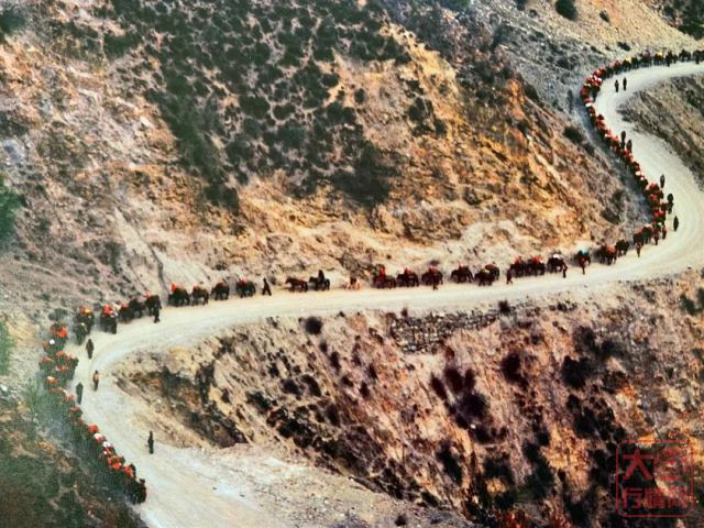 大益茶文化解读系列|NO16·圣茶之旅