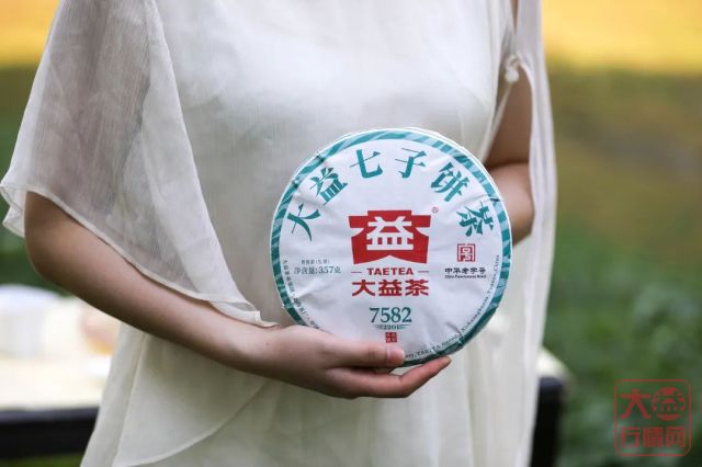 7582主题茶席 | 初夏时节,如何展示一款广受茶友追捧的经典生茶?