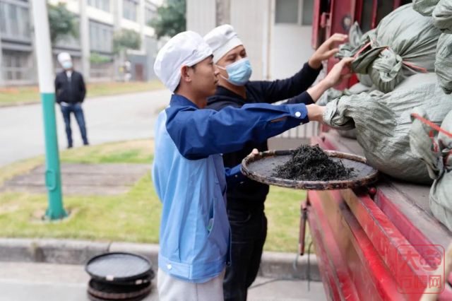 勐海茶厂春茶开收 | 初制所软硬件升级换代,严把原料入库第一关