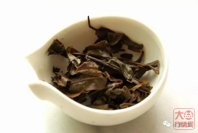 【深度剖析】勐海茶厂的历史印记——博字系列之04年7542