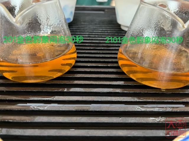2101土豪金,巅峰经典再现,长期收藏才是王道?