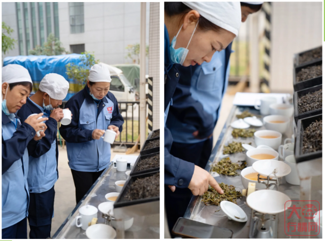 勐海茶厂春茶开收 | 初制所软硬件升级换代,严把原料入库第一关