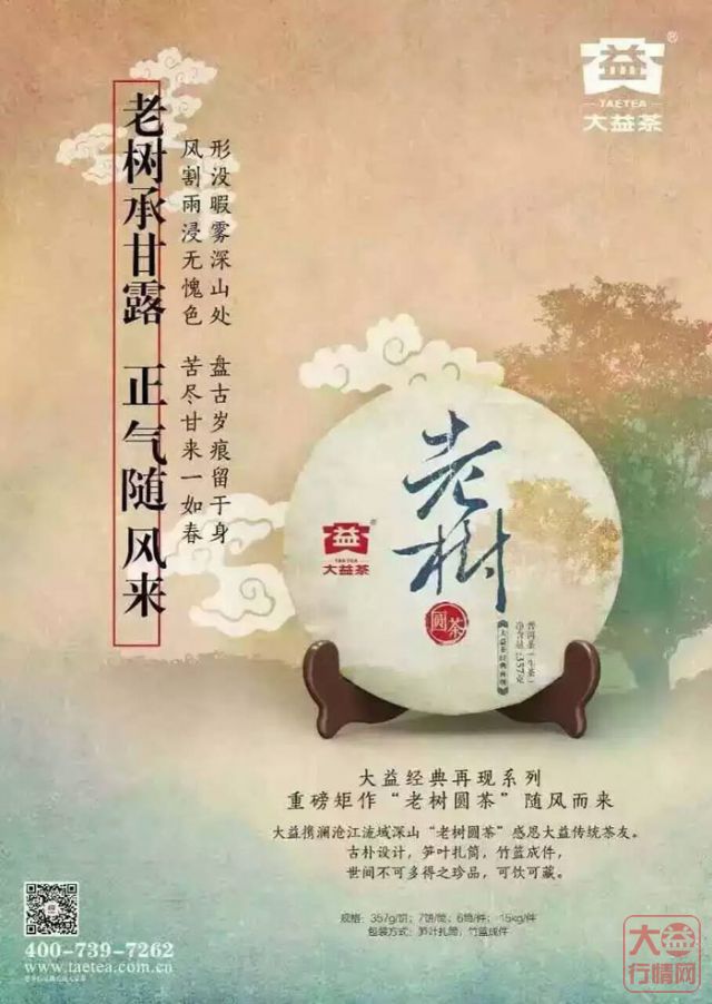 大益普洱茶投资分析：老树圆茶一出，芳村疯了！