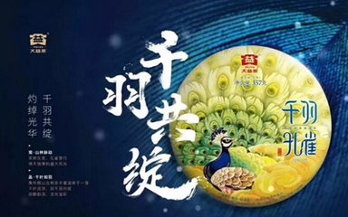 大益普洱茶投资分析_七星千羽孔雀
