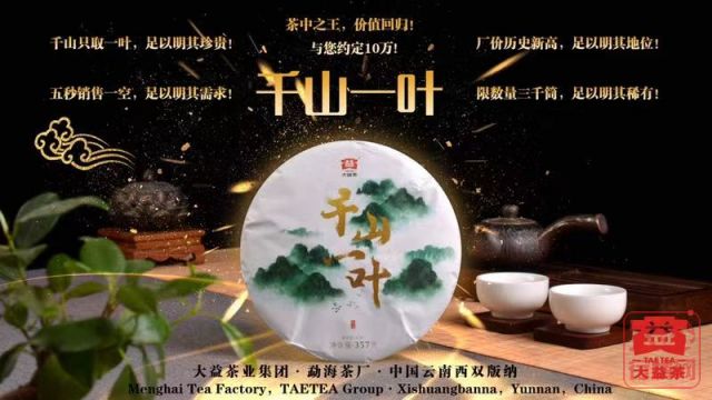 千山一叶 巨星进场初露锋芒