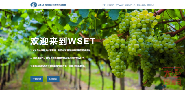 急需完善的收藏培训体系——该如何破局？