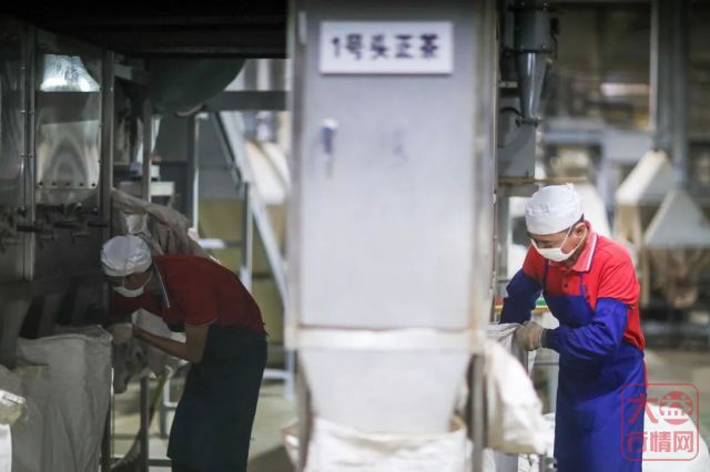 敢为人先!大益十年科技创新发展之路