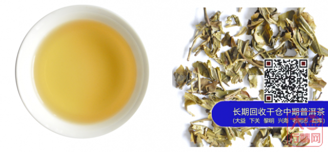 大益2014年生肖纪念茶英雄骏马·头马特藏版上市