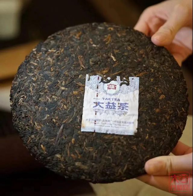 大益茶未来会将古树茶作为独立分支吗?