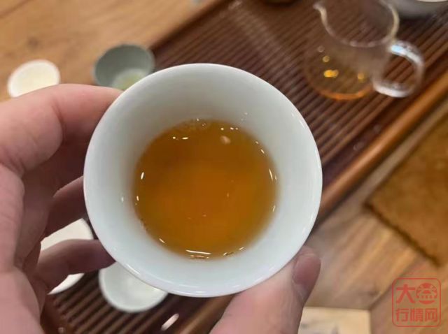 大益新茶当道，不谈沧海还谈什么？
