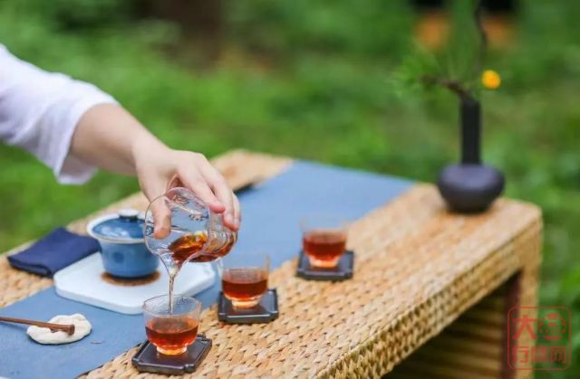备战论茶大赛!大益茶道师都在偷偷读的7本书