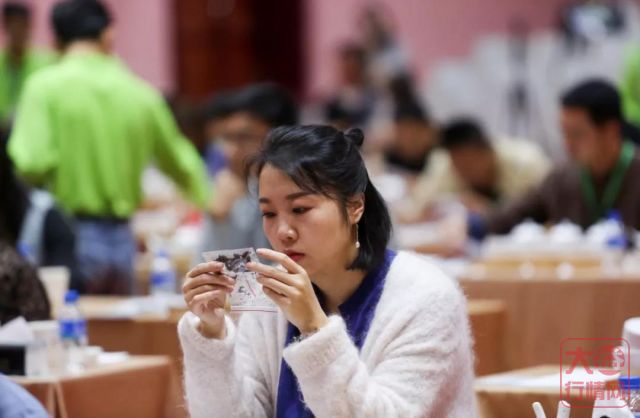 大益职业茶道师大赛激战正酣，30位顶尖高手决战大师赛！