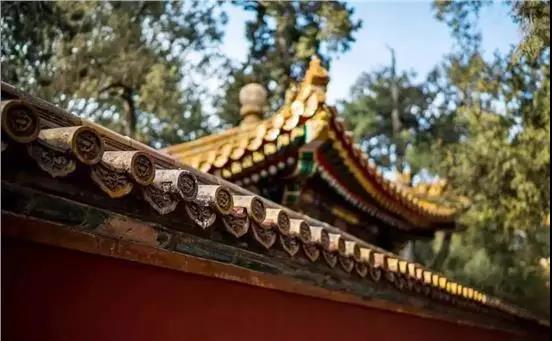 独佩一壶游，秋毫泰山小