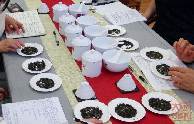 直击2021大益论茶大赛全国备战,这届选手更拼