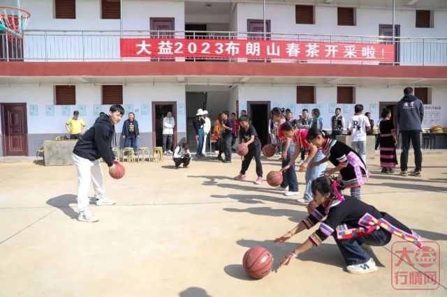 大益春茶开采，5名球星献出与普洱茶亲密的N个第一次