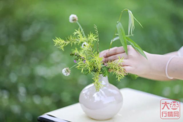 7582主题茶席 | 初夏时节,如何展示一款广受茶友追捧的经典生茶?