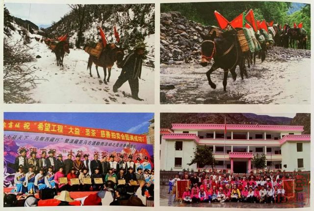 大益茶文化解读系列|NO16·圣茶之旅