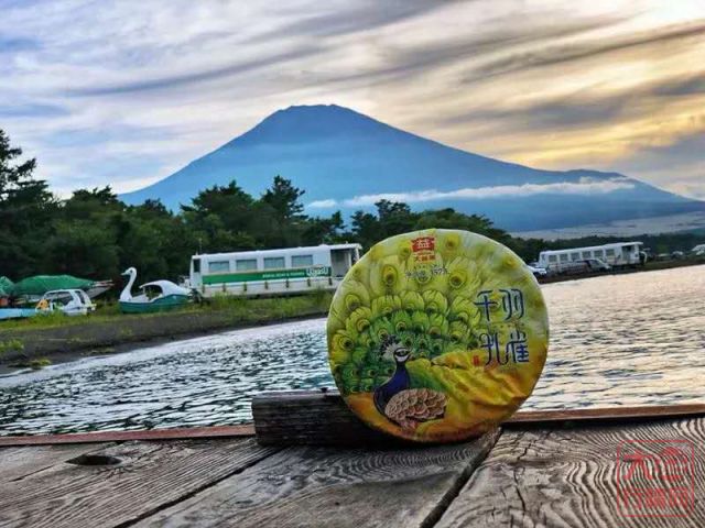 大益行情网：投资大益普洱茶是价值投资的首选