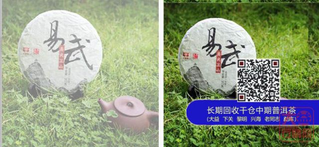 大益易武正山到货：期货价与实际价格格不入