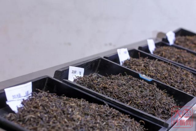 学会了这几招，你也可以评估大益茶的投资价值