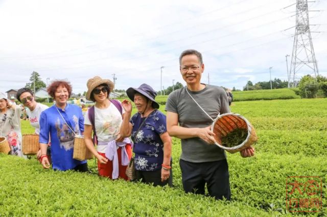 城南花已开，君已不在！－纪念吴远之先生逝世一周年