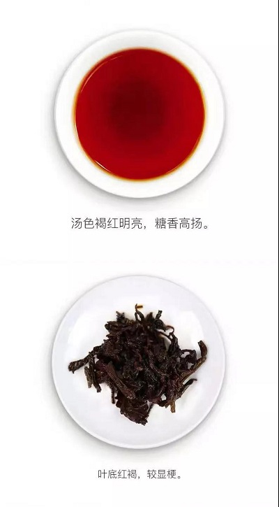 据说，很多人最近反反复复地在喝这十款大益茶？