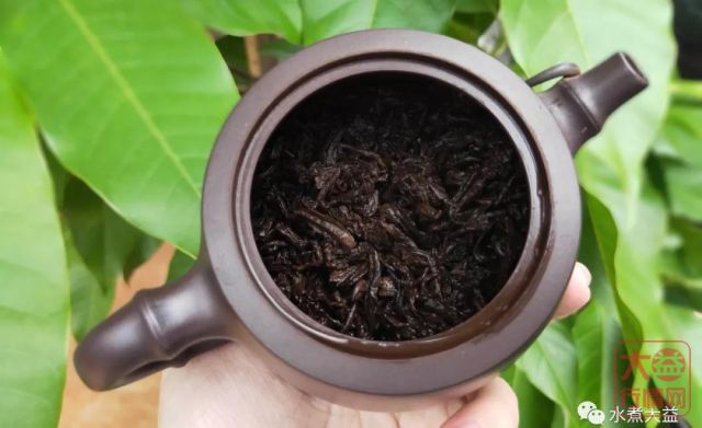 最好喝的熟茶——2000年 班章大白菜 特二号熟茶