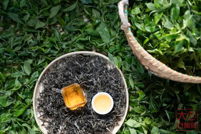 大益茶市回暖阻力大,新人上手“难”是一个大问题
