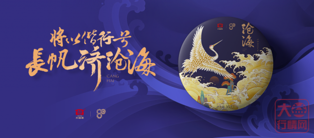 扑朔迷离的行情,沧海你将如何抉择?