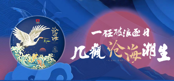 大益行情网：同样是大益茶 哪类茶才能赚大钱？