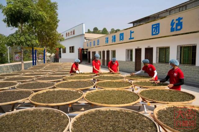何谓大益茶市的结构性矛盾?